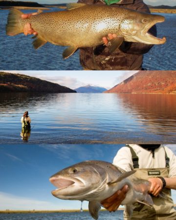 Fishing