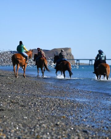 Horse riding 